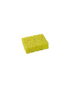 sponge large smooth2