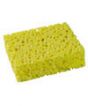 sponge large smooth2